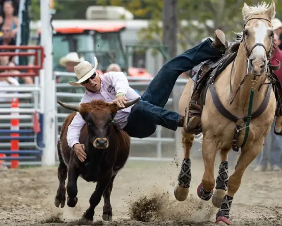Man jumping from horse onto a calf