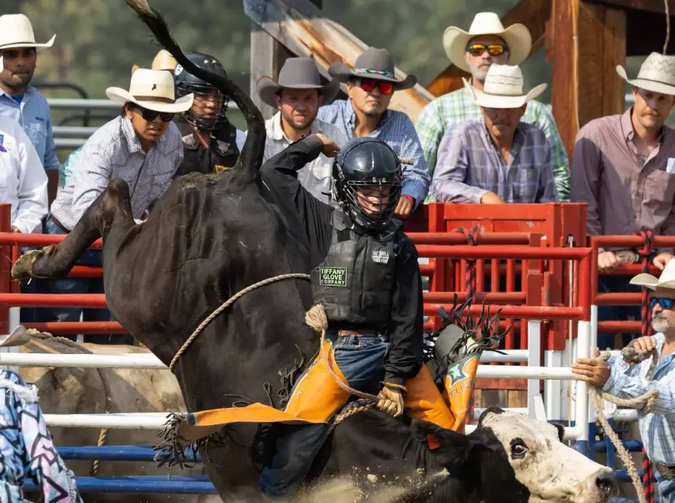 Crowd watching boy riding a bull