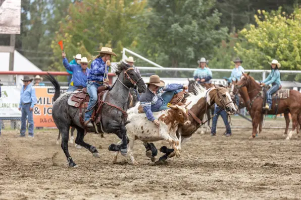 Rodeo arena with competitors
